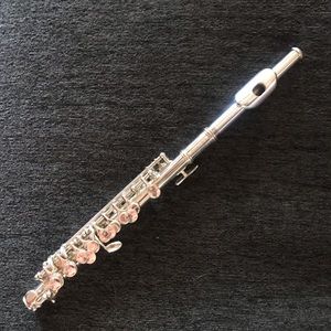 RS Berkeley Piccolo P101 Used